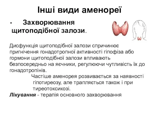 Інші види аменореї Захворювання щитоподібної залози. Дисфункція щитоподібної залози спричинює