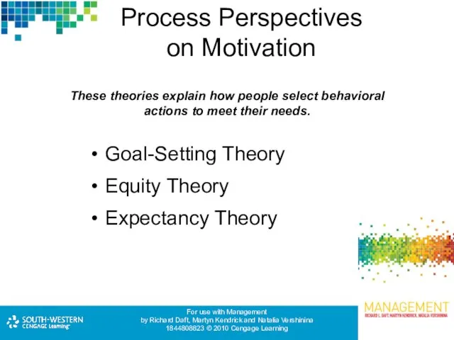 Process Perspectives on Motivation Goal-Setting Theory Equity Theory Expectancy Theory