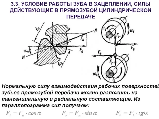 3.3. УСЛОВИЕ РАБОТЫ ЗУБА В ЗАЦЕПЛЕНИИ, СИЛЫ ДЕЙСТВУЮЩИЕ В ПРЯМОЗУБОЙ