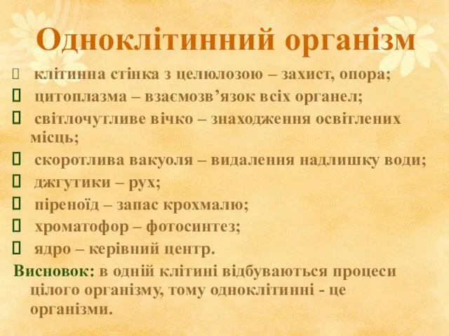 Одноклітинний організм клітинна стінка з целюлозою – захист, опора; цитоплазма