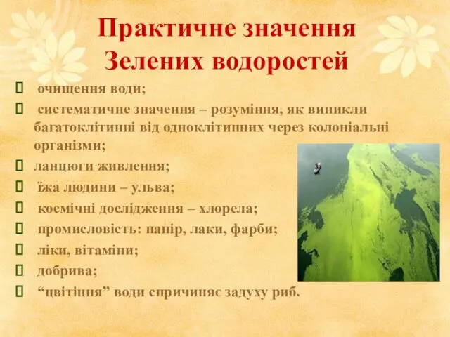 Практичне значення Зелених водоростей очищення води; систематичне значення – розуміння,