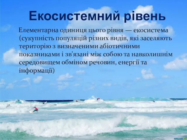 Екосистемний рівень Елементарна одиниця цього рівня — екосистема (сукупність популяцій