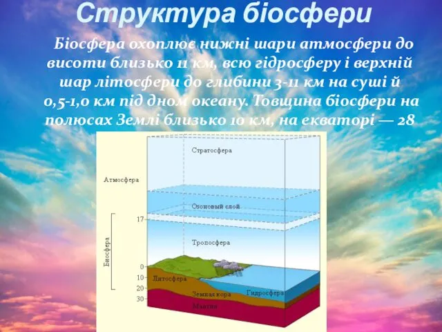 Структура біосфери Біосфера охоплює нижні шари атмосфери до висоти близько