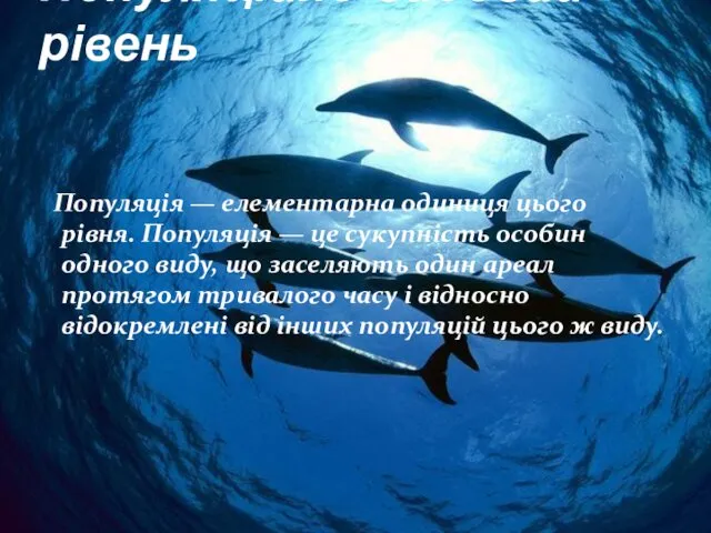 Популяційно-видовий рівень Популяція — елементарна одиниця цього рівня. Популяція —