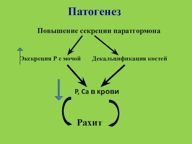 Патогенез Повышение секреции паратгормона Экскреция Р с мочой Декальцификация костей P, Ca в крови Рахит