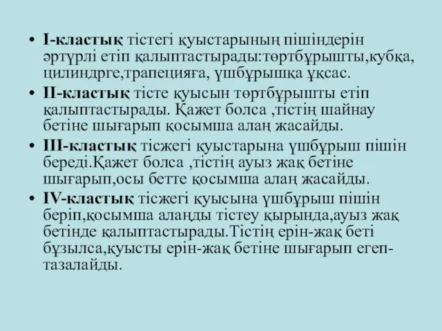 I-кластық тістегі қуыстарының пішіндерін әртүрлі етіп қалыптастырады:төртбұрышты,кубқа,цилиндрге,трапецияға, үшбұрышқа ұқсас. II-кластық