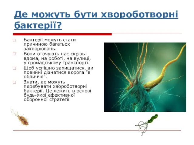 Де можуть бути хвороботворні бактерії? Бактерії можуть стати причиною багатьох