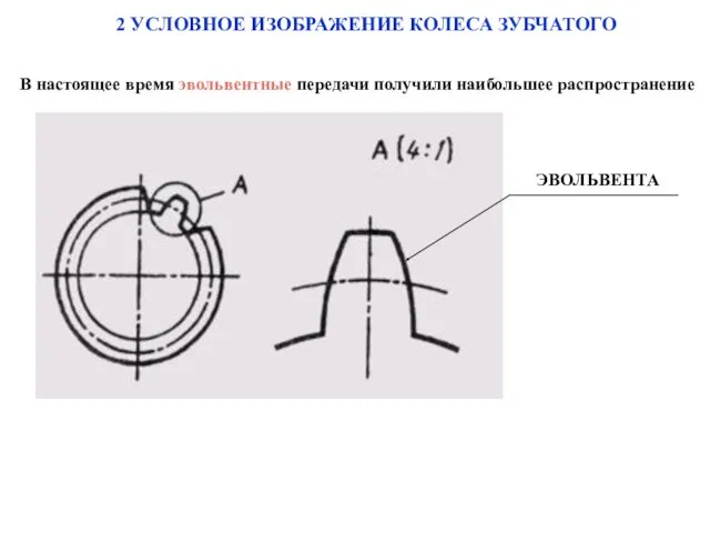 В настоящее время эвольвентные передачи получили наибольшее распространение 2 УСЛОВНОЕ ИЗОБРАЖЕНИЕ КОЛЕСА ЗУБЧАТОГО