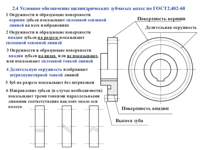 2.4 Условное обозначение цилиндрических зубчатых колес по ГОСТ2.402-68 1 Окружности