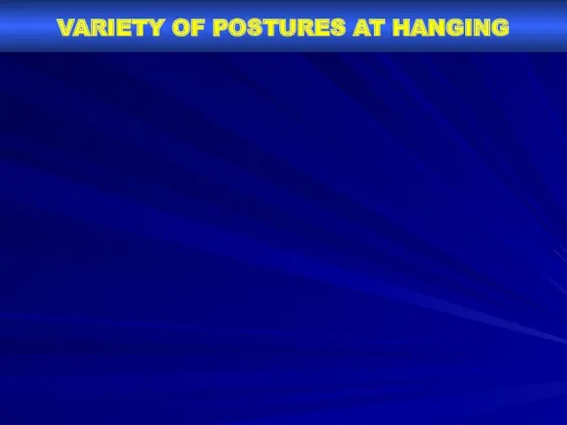 VARIETY OF POSTURES AT HANGING