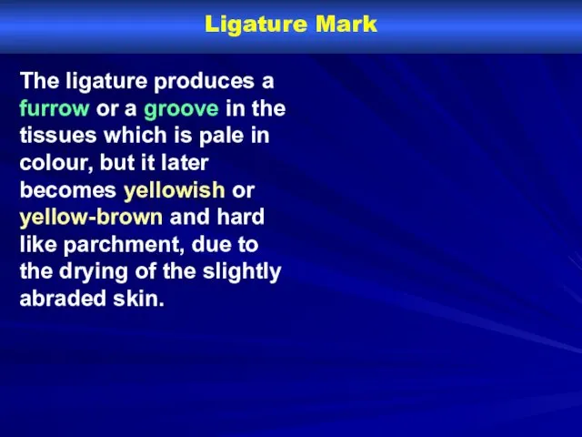 Ligature Mark The ligature produces a furrow or a groove