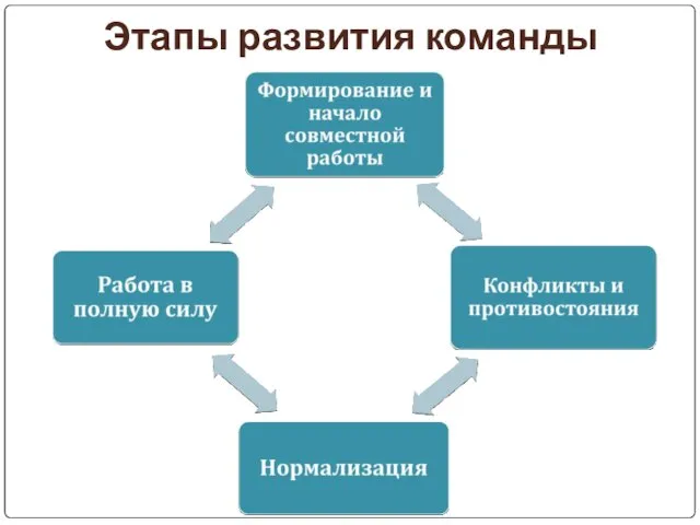 Этапы развития команды