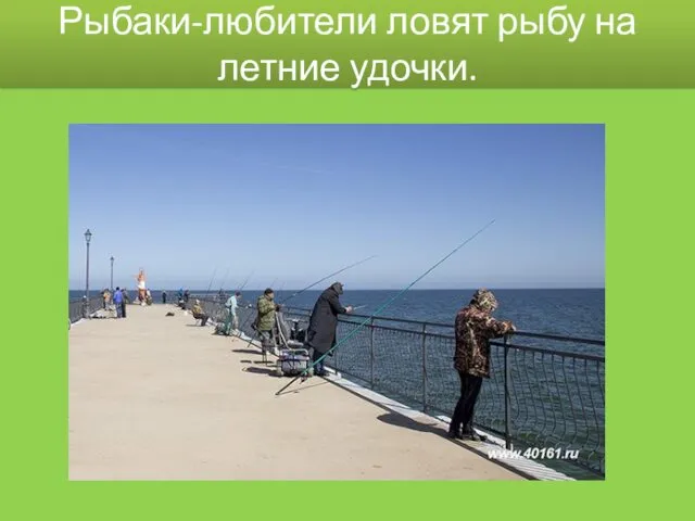 Рыбаки-любители ловят рыбу на летние удочки.