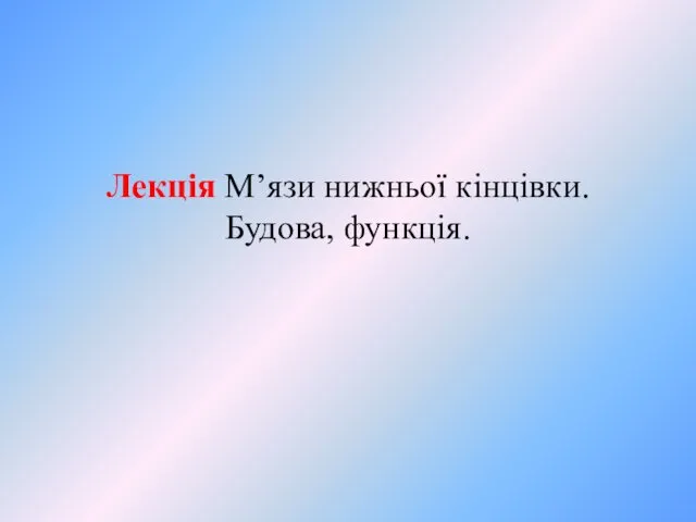 Лекція М’язи нижньої кінцівки. Будова, функція.