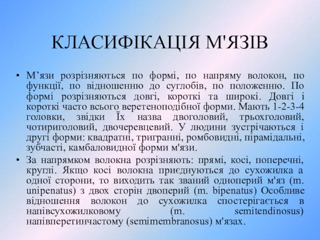 КЛАСИФІКАЦІЯ М'ЯЗІВ М’язи розрізняються по формі, по напряму волокон, по