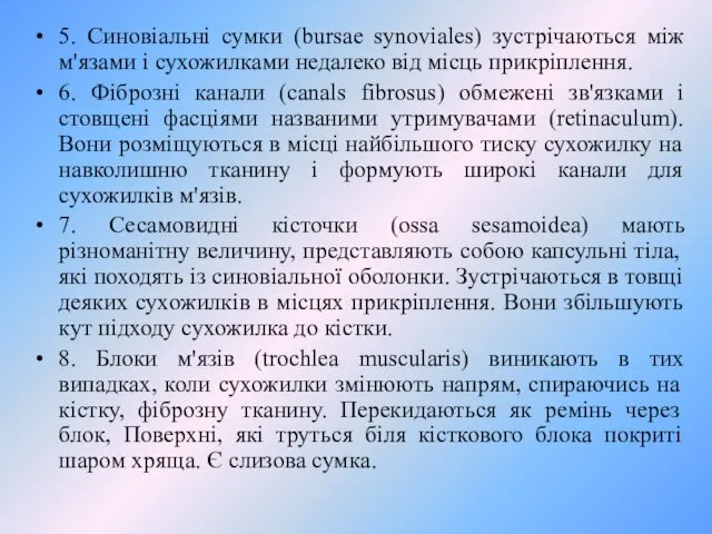 5. Синовіальні сумки (bursae synoviales) зустрічаються між м'язами і сухожилками