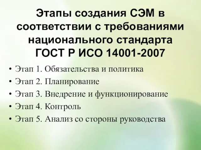 Этапы создания СЭМ в соответствии с требованиями национального стандарта ГОСТ