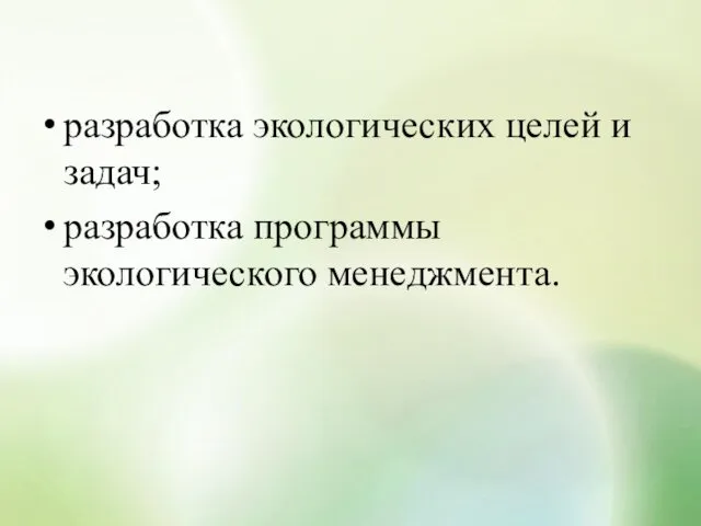 разработка экологических целей и задач; разработка программы экологического менеджмента.