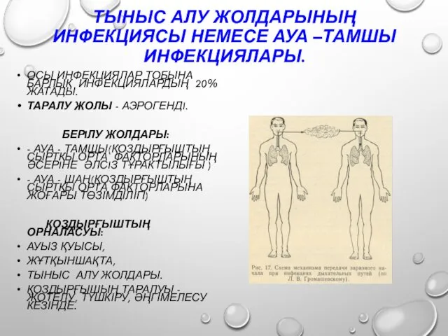 ТЫНЫС АЛУ ЖОЛДАРЫНЫҢ ИНФЕКЦИЯСЫ НЕМЕСЕ АУА –ТАМШЫ ИНФЕКЦИЯЛАРЫ. ОСЫ ИНФЕКЦИЯЛАР ТОБЫНА БАРЛЫҚ ИНФЕКЦИЯЛАРДЫҢ