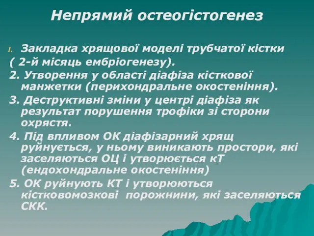 Непрямий остеогістогенез Закладка хрящової моделі трубчатої кістки ( 2-й місяць