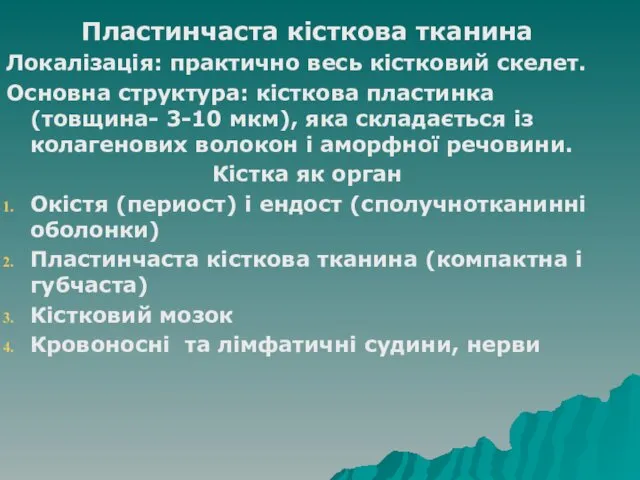 Пластинчаста кісткова тканина Локалізація: практично весь кістковий скелет. Основна структура: