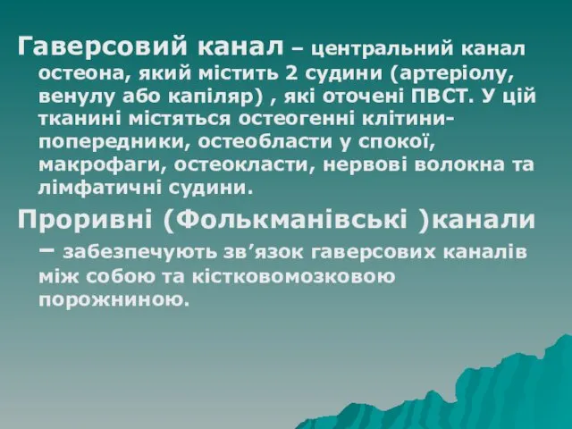 Гаверсовий канал – центральний канал остеона, який містить 2 судини