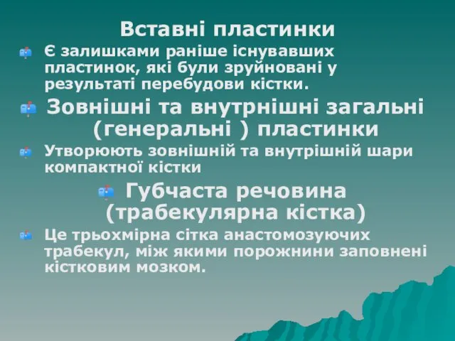 Вставні пластинки Є залишками раніше існувавших пластинок, які були зруйновані