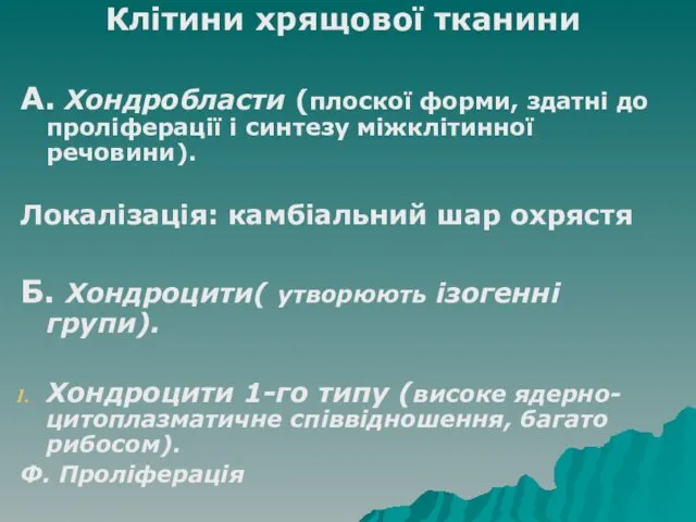 Клітини хрящової тканини А. Хондробласти (плоскої форми, здатні до проліферації