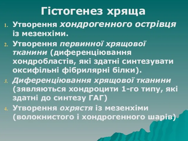 Гістогенез хряща Утворення хондрогенного острівця із мезенхіми. Утворення первинної хрящової