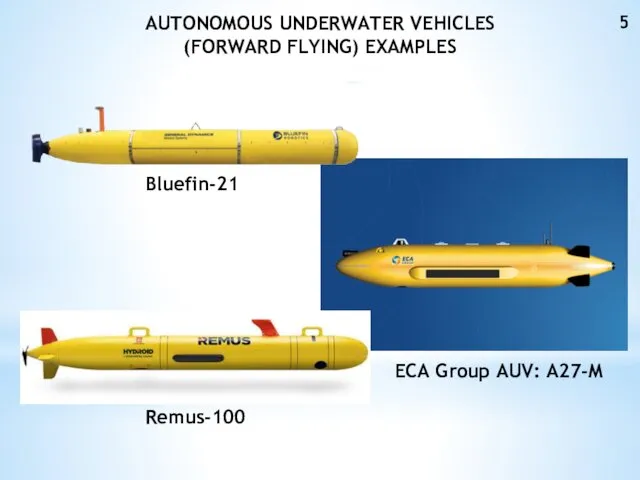 AUTONOMOUS UNDERWATER VEHICLES (FORWARD FLYING) EXAMPLES Bluefin-21 ECA Group AUV: A27-M Remus-100
