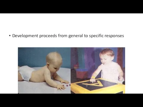 Development proceeds from general to specific responses