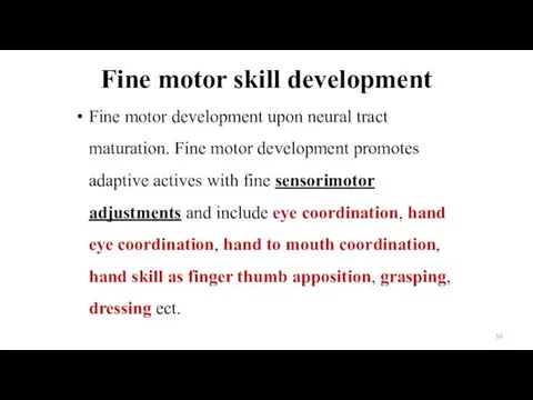 Fine motor skill development Fine motor development upon neural tract