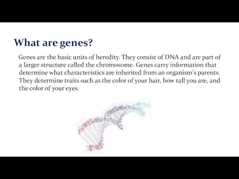 Genes are the basic units of heredity. They consist of