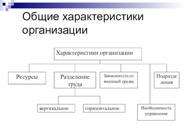 Общие характеристики организации