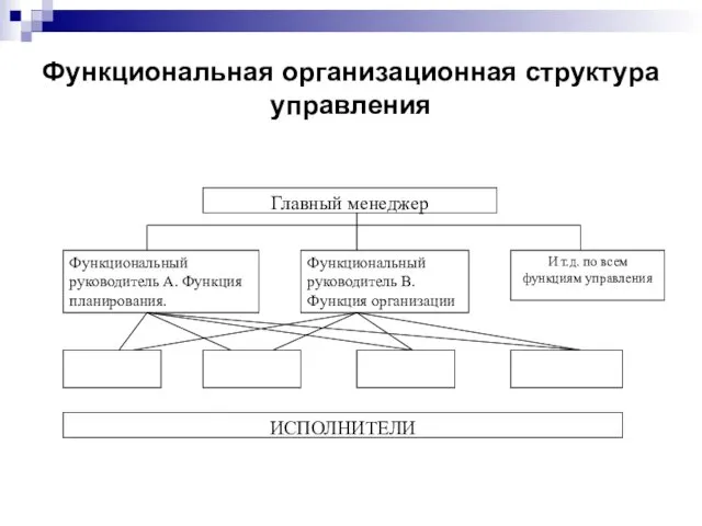 Функциональная организационная структура управления