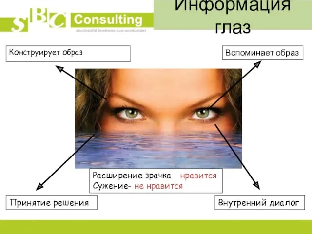 Информация глаз Вспоминает образ Внутренний диалог Конструирует образ Принятие решения