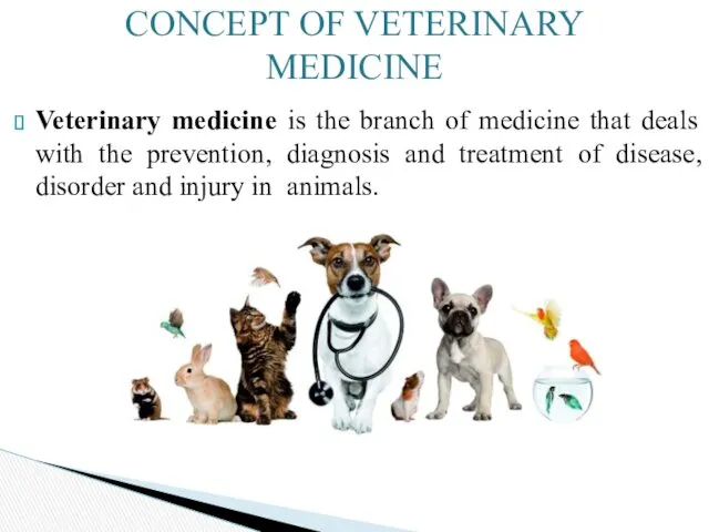 Veterinary medicine is the branch of medicine that deals with