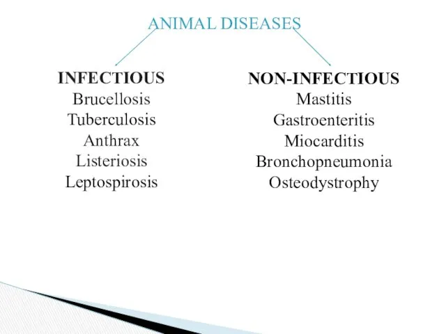 ANIMAL DISEASES INFECTIOUS Brucellosis Tuberculosis Anthrax Listeriosis Leptospirosis NON-INFECTIOUS Mastitis Gastroenteritis Miocarditis Bronchopneumonia Osteodystrophy