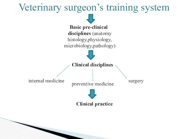 Veterinary surgeon’s training system Basic pre-clinical disciplines (anatomy histology,physiology, microbiology,pathology) Clinical disciplines internal
