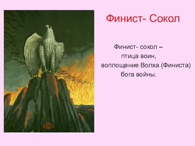 Финист- Сокол Финист- сокол – птица воин, воплощение Волха (Финиста) бога войны.