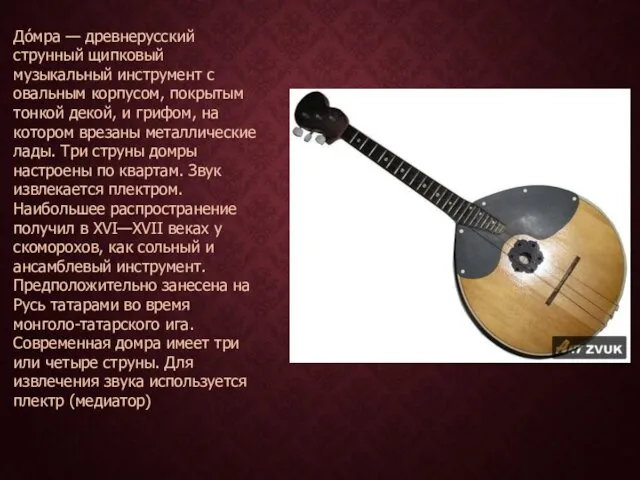 До́мра — древнерусский струнный щипковый музыкальный инструмент с овальным корпусом,