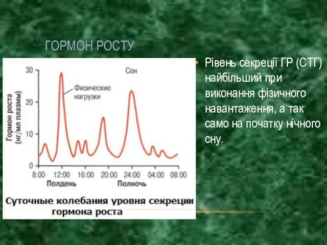 ГОРМОН РОСТУ Рівень секреції ГР (СТГ) найбільший при виконання фізичного