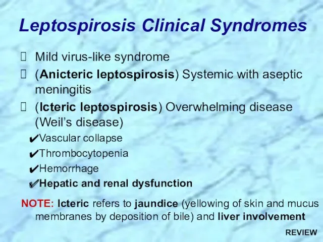 Leptospirosis Clinical Syndromes Mild virus-like syndrome (Anicteric leptospirosis) Systemic with