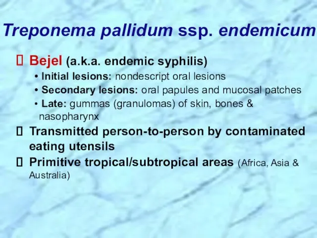 Treponema pallidum ssp. endemicum Bejel (a.k.a. endemic syphilis) Initial lesions: