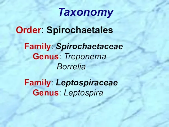 Order: Spirochaetales Family: Spirochaetaceae Genus: Treponema Borrelia Family: Leptospiraceae Genus: Leptospira Taxonomy