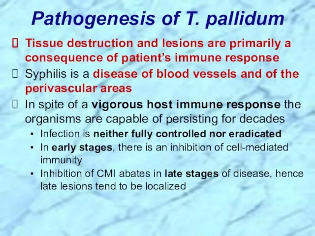 Pathogenesis of T. pallidum Tissue destruction and lesions are primarily