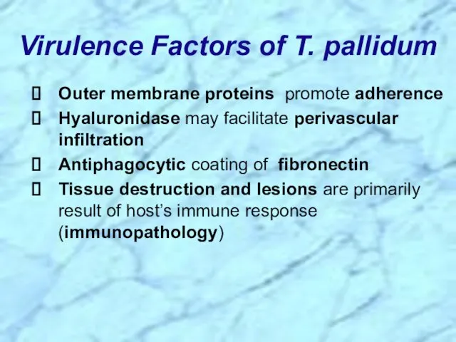 Virulence Factors of T. pallidum Outer membrane proteins promote adherence