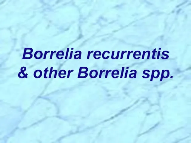 Borrelia recurrentis & other Borrelia spp.