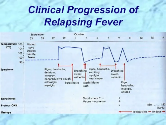 Clinical Progression of Relapsing Fever