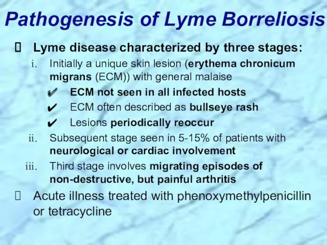 Pathogenesis of Lyme Borreliosis Lyme disease characterized by three stages: